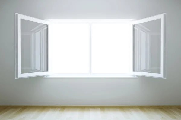 Professional Attic Cleaning in New Caney, TX Professional Attic Cleaning in New Caney, TX